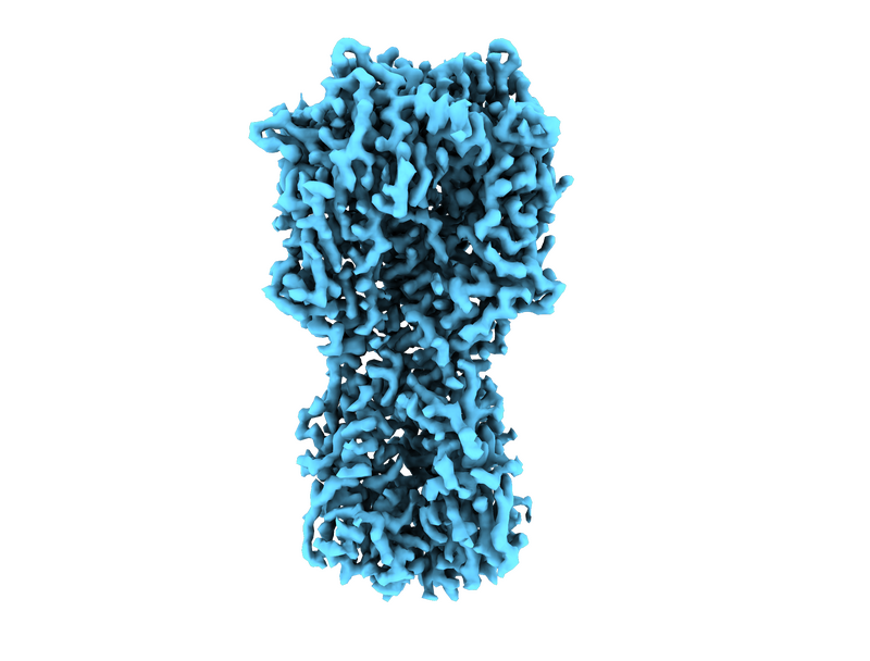 coronavirus spike protein structure alt hidden-image